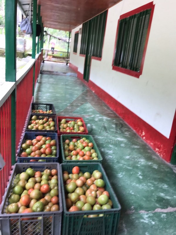 La Cerrajosa