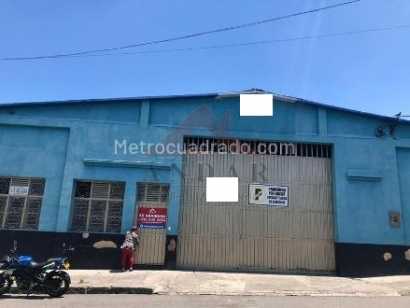 San Pedro Alejandrino